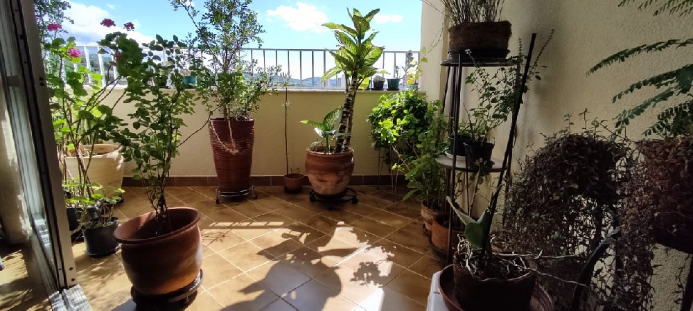 Apartamento Cruz Alta