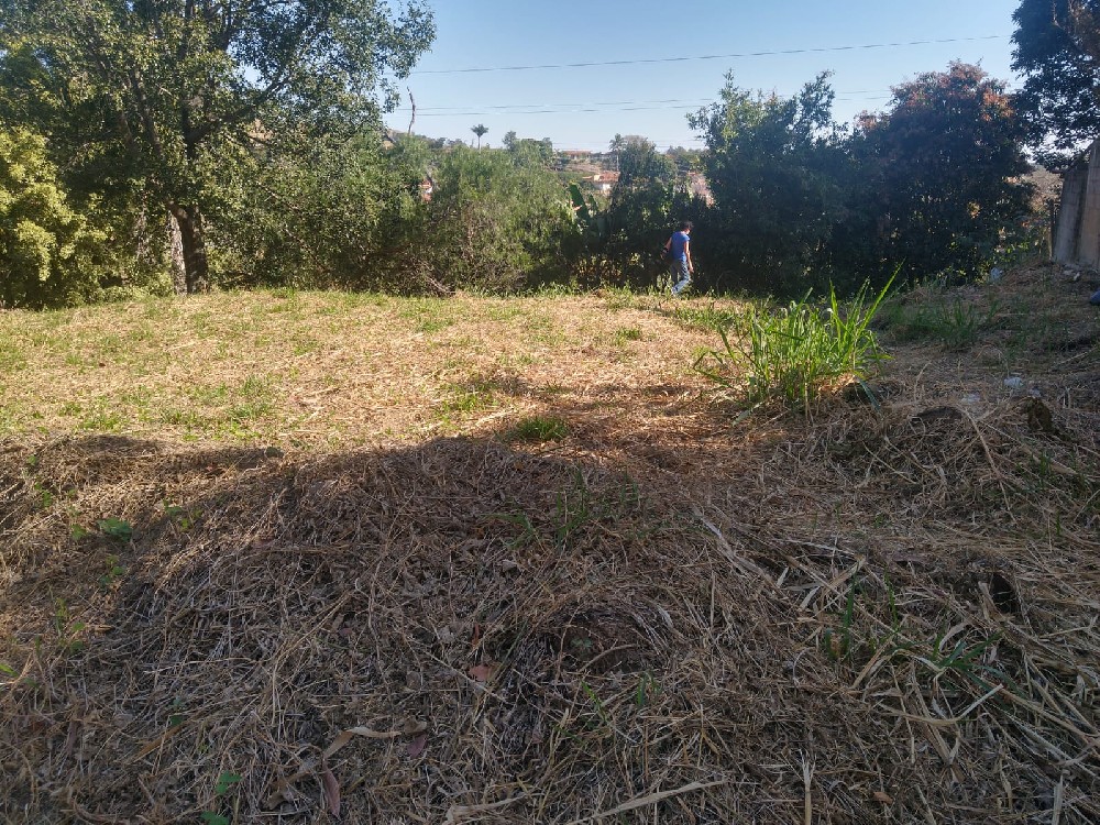 Terreno para Chácara - Flamboyant  Amparo/SP. 