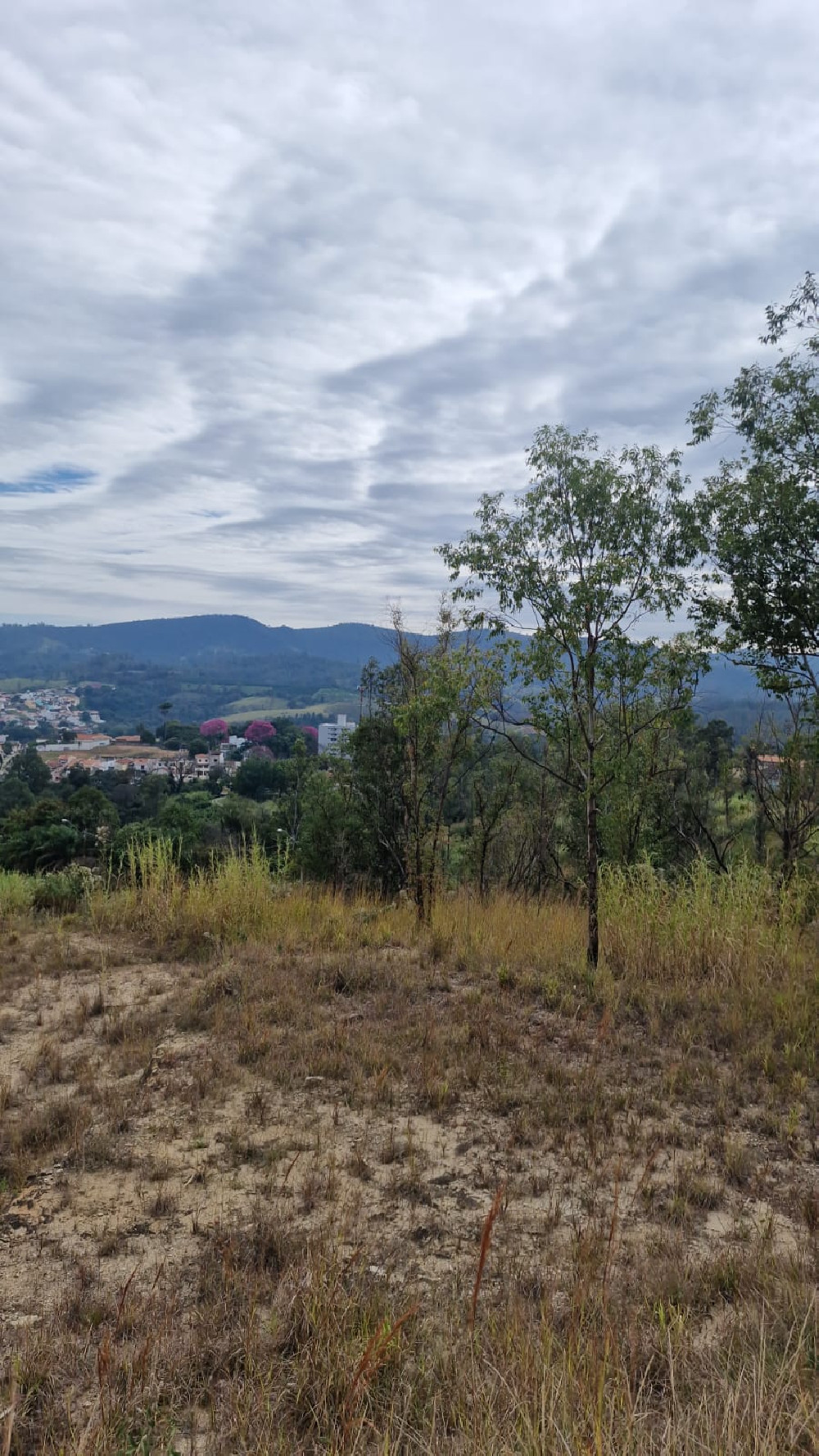 Terreno Jardim Silvana Amparo S/P. 
